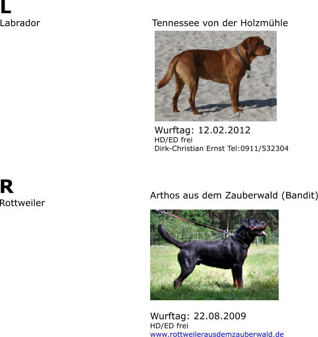 R Rottweiler  Arthos aus dem Zauberwald (Bandit) Wurftag: 22.08.2009 HD/ED frei www.rottweilerausdemzauberwald.de L Labrador						Tennessee von der Holzmhle   Wurftag: 12.02.2012  HD/ED frei Dirk-Christian Ernst Tel:0911/532304