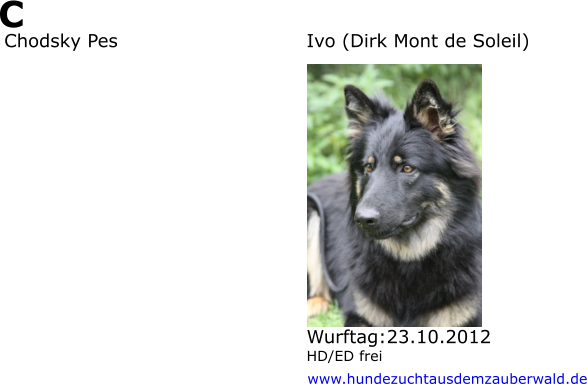 C Chodsky Pes					Ivo (Dirk Mont de Soleil) Wurftag:23.10.2012 HD/ED frei  www.hundezuchtausdemzauberwald.de