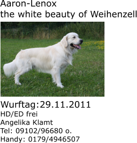 Aaron-Lenox  the white beauty of Weihenzell  Wurftag:29.11.2011 HD/ED frei Angelika Klamt Tel: 09102/96680 o.  Handy: 0179/4946507